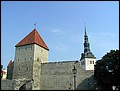 Estonia 2002---D2-03 02 Part of the wall of the old castle seen near the museum.jpg