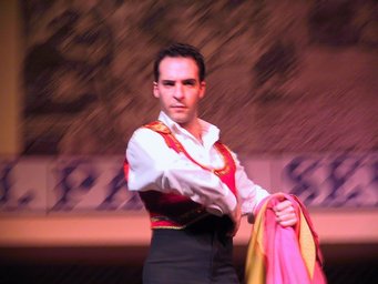 Spain 2002 - 24---2_9_Seville -Flamenco --- 10 Shows in progress I.jpg