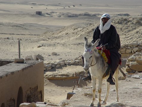 Egypt 2004---D03-04-04 A camel rider at Step Pyramid in Dahshur.jpg