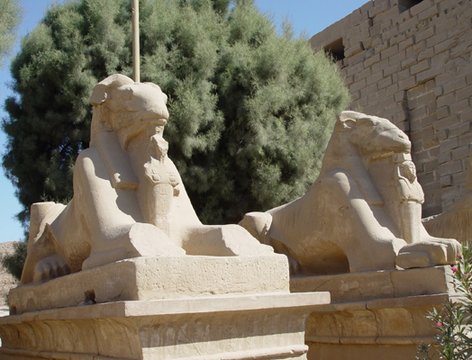 Egypt 2004---D05-01-02 Sphinxes with deer heads of Karnak Temple in Luxor.jpg