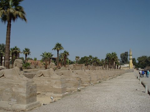 Egypt 2004---D05-02-02 The street has sphinxes at its two sides in the Temple of Luxor.jpg