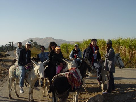 Egypt 2004---D05-03-05 Our group riding donkeys in west Luxor.jpg