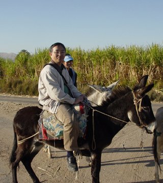 Egypt 2004---D05-03-08 Like a donkey hero.jpg