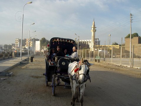 Egypt 2004---D07-01-01 Horse wagon riding on way to Temple of Edfu.jpg