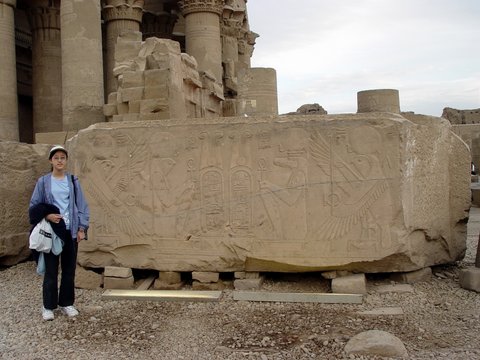 Egypt 2004---D07-04-07 Clear carvings of two gods, Crocodile God Sobek & Falcon God Horus in the Temple of Kom Ombo.JPG