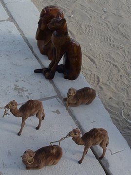 Egypt 2004---D10-05-07 I bought a camel model like these.jpg