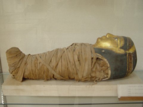 Egypt 2004---D11-03-07 A child's  mummy.jpg