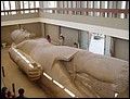 Egypt 2004---D03-05-03 Giant Ramses II statue in Memphis Museum.jpg