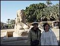 Egypt 2004---D03-05-07 Sphinx in Memphis Museum.jpg