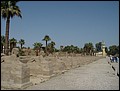 Egypt 2004---D05-02-02 The street has sphinxes at its two sides in the Temple of Luxor.jpg