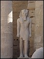 Egypt 2004---D05-02-04 Ramses II Statue in the Temple of Luxor.jpg