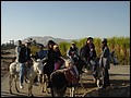 Egypt 2004---D05-03-05 Our group riding donkeys in west Luxor.jpg