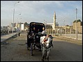 Egypt 2004---D07-01-01 Horse wagon riding on way to Temple of Edfu.jpg