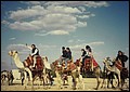 Egypt 2004---D10-07-03 Our group on camels (Courtesy of Prof. Chen, Mao-Chieh ).jpg
