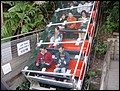 Australia 2006---02-03-05 World-steepest railway which we rode in the park.jpg