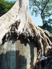 Cambodia 2006 --- Day 02-05 Ta Prohm --- 03 'Who is standing there'.jpg