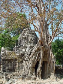 Cambodia 2006 --- Day 03-08 Ta Som --- 01 A tree-covered entrance pavilion of Ta Som Temple in Angkor area.jpg