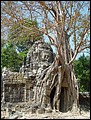 Cambodia 2006 --- Day 03-08 Ta Som --- 01 A tree-covered entrance pavilion of Ta Som Temple in Angkor area.jpg