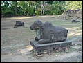 Cambodia 2006 --- Day 04-06 Preah Ko --- 03 There are cow stone statues at the site.jpg