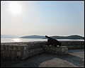 Croatia 2011 --- D10_01-11-02_Cannon in the castle pointing to the sea seen in Korcula Island (Croatia).jpg