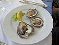 Croatia 2011 --- D10_03-05-01_The oysters we tasted in Lunch in Mali Ston in Ston (Croatia).jpg