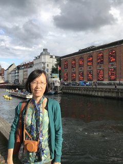 Denmark 2017_D11-09-02_A shot against the other river side where a big building with red-patterned windows was seen.jpg