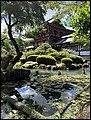 Japan 2024---02-04-07_Pretty japanese-style garden in Yutoku Inari Shrine.jpg