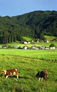 Austria 1999---Scenic view of Gosau.jpg