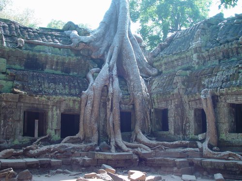 Cambodia 2006 --- 03 A tree covering a sanctuary in Ta Prohm Temple in Angkor area.jpg