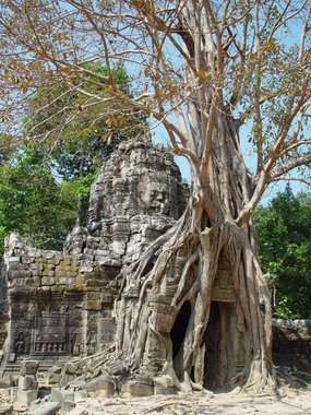 Cambodia 2006 --- 09 A tree-covered entrance pavilion at Ta Som Temple in Angkor area.jpg