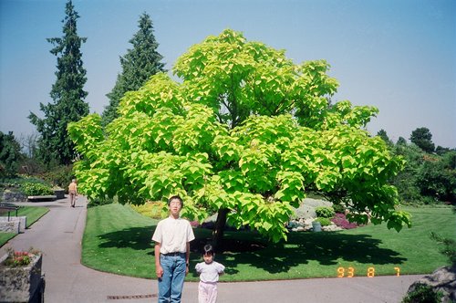 Canada 1993---03 Meimei and Hsin-Mu before a big green tree.jpg
