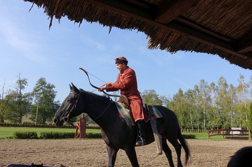 Hungary 2016---D10-03-01-A show of target shooting by arrows on horseback at Lazsr Lovaspark.jpg