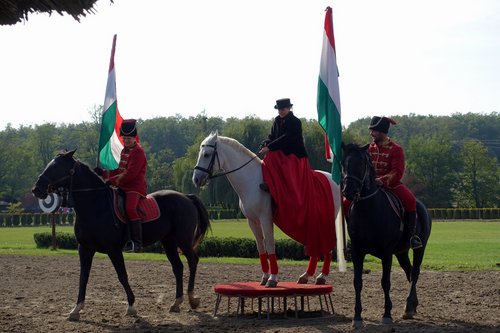 Hungary 2016---D10-04-02-Imitation of old-time horse riding by a lady with both legs on one side.jpg