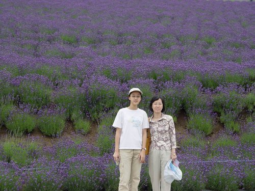 Japan 2004 --- 11 Before a big lavender field in Tomita Farm.jpg