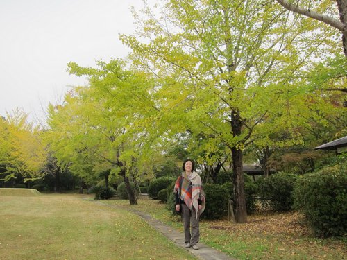Japan 2014---04-01C-01_Under the apricot trees of the park.JPG