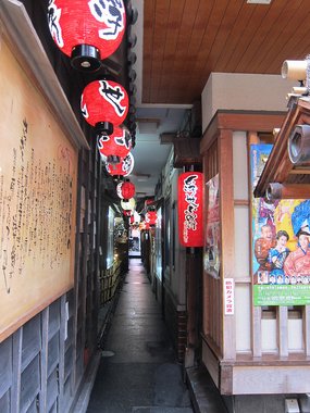 Japan 2015---09_01-3(Ukiyokoji)-000-10_The other end of the lane.JPG