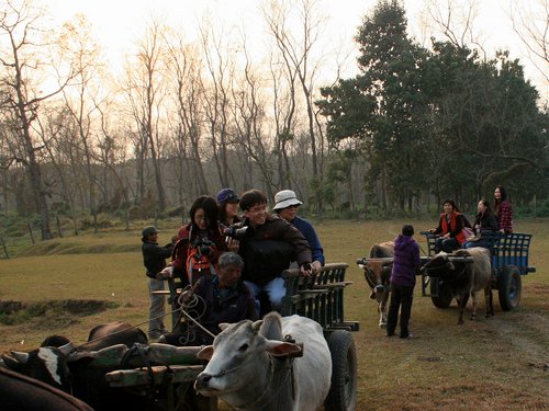 Nepal 2010---02_04-1_Ox Cart ride.jpg