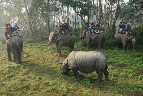 Nepal 2010---03_01-2_Riding elephants in Chitwan National Park.jpg