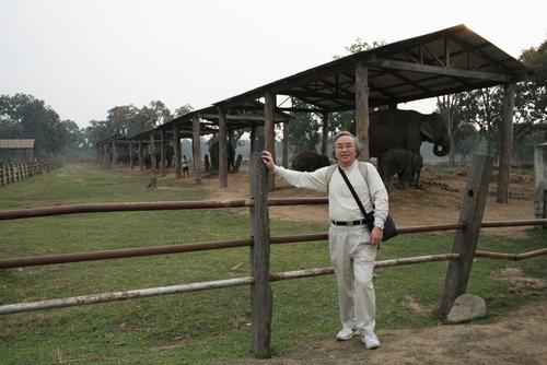 Nepal 2010---03_06-1_Elephant breeding center in Chitwan.jpg