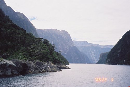 New Zealand 2000---A scenic river view at Milford Sound.jpg