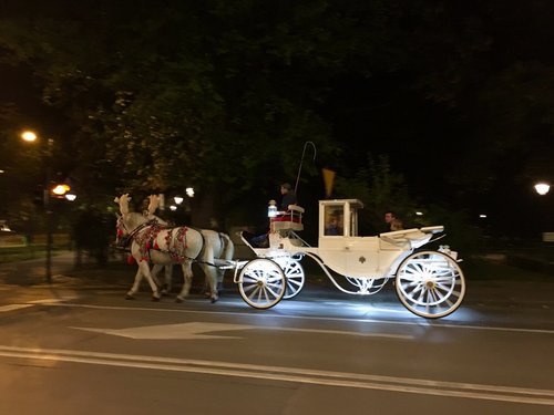Poland 2016---D04-07-02-A tourist carriage seen on way to the hotel.jpg