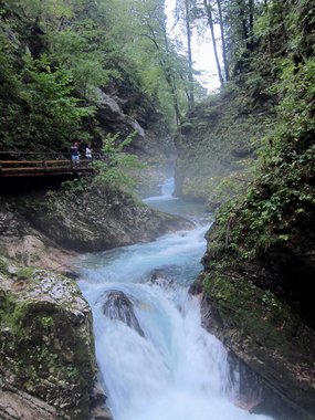 Slovenia 2011 --- D03_01-01-01_Vintgar Valley 1 (Slovenia).jpg