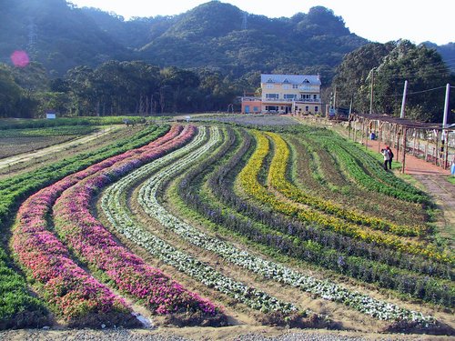 Taiwan-Tahsi 2003---Futien Garden in Taoyuan.jpg