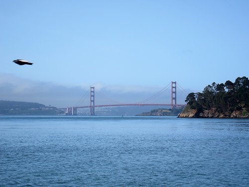 USA 2015 --- D02-04-02_Tiburon - Golden Gate Bridge seen from Shoreline Park .JPG