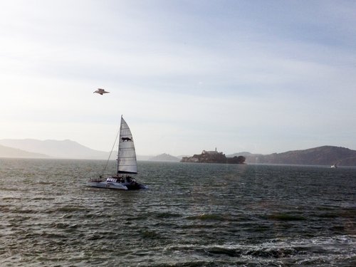 USA 2015 --- D02-10-01_SF - San Francisco Bay and Alcatraz Island.JPG